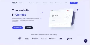 Website Interface